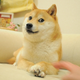 Illustration for article titled A Boy and His Doge